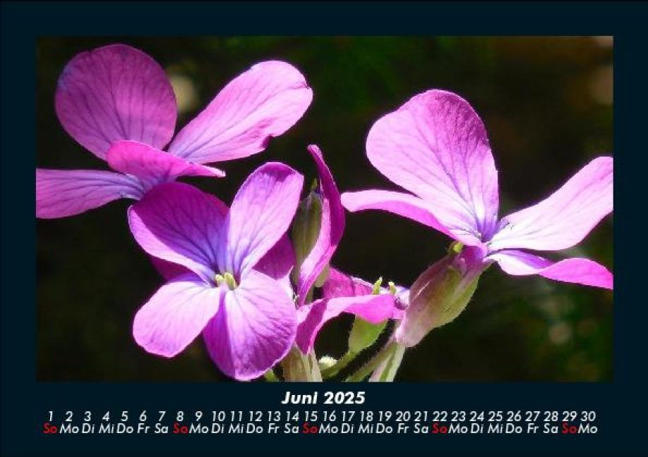 InsideView 10