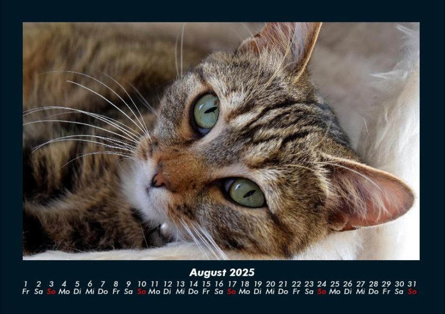 InsideView 12