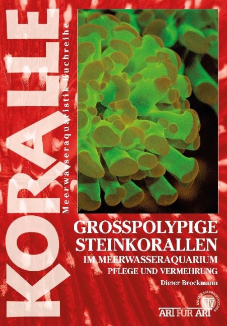 Großpolypige Steinkorallen - Dieter Brockmann