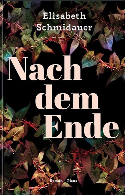 Nach dem Ende - Elisabeth Schmidauer