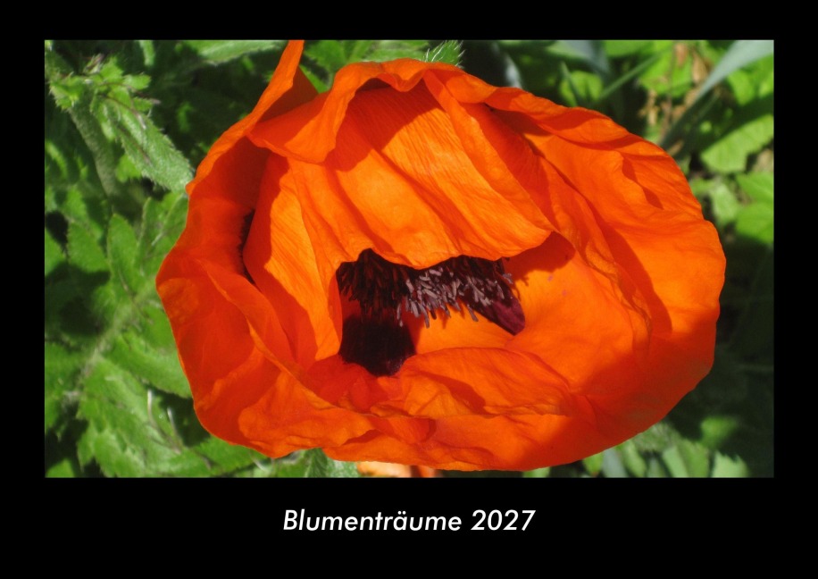 Blumenträume 2027 Fotokalender DIN A3 - Tobias Becker