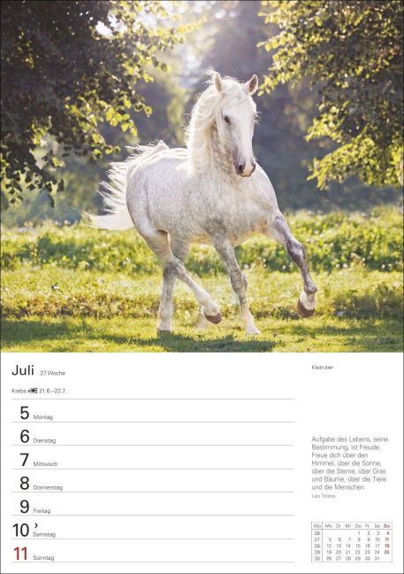 InsideView 8
