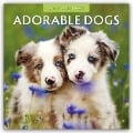 Adorable Dogs - Liebenswerte Hunde 2025 - 16-Monatskalender - Robin Red