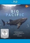 Cover-Bild zum Titel 'Big Pacific' von 'Tom Fox, Marshall Smith'