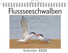 Cover-Bild zum Titel 'Flussseeschwalben' von 'Elias Hoffmann'