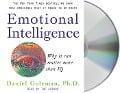 Emotional Intelligence: Why It Can Matter More Than IQ - Daniel Goleman