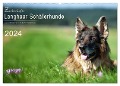 Zauberhafte Langhaar Schäferhunde (Wandkalender 2024 DIN A2 quer), CALVENDO Monatskalender - Petra Schiller