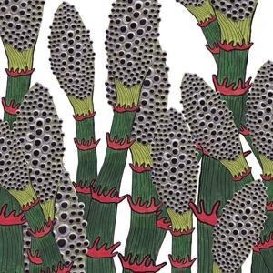 IV - Part Chimp