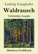 Cover-Bild zum Titel 'Waldrausch (Großdruck)' von 'Ludwig Ganghofer'