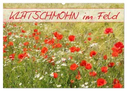 Klatschmohn im Feld (Wandkalender 2026 DIN A2 quer), CALVENDO Monatskalender - Gisela Kruse