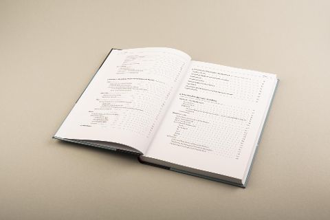 InsideView 4