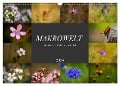 Makrowelt - Blumen und Insekten im Fokus (Wandkalender 2024 DIN A3 quer), CALVENDO Monatskalender - Simone Mairhofer