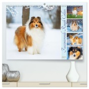 Cover-Bild zum Titel 'Faszinierende Rough Collies (hochwertiger Premium Wandkalender 2027 DIN A2 quer), Kunstdruck in Hochglanz' von 'Sigrid Starick'