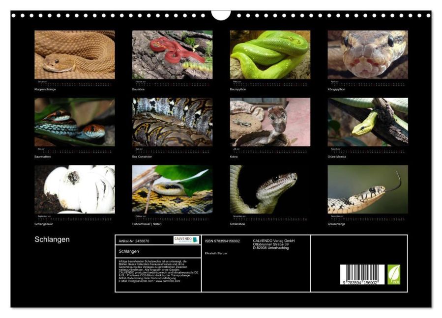 InsideView 5