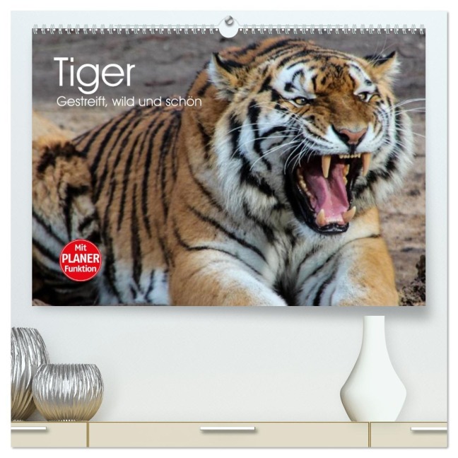 Tiger. Gestreift, wild und schön (hochwertiger Premium Wandkalender 2026 DIN A2 quer), Kunstdruck in Hochglanz - Elisabeth Stanzer