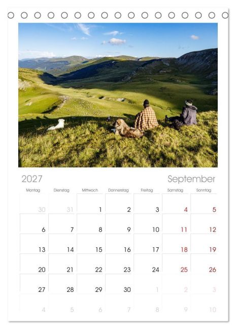 InsideView 13