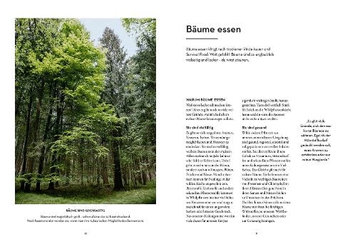 InsideView 2