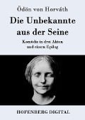 Cover-Bild zum Titel 'Die Unbekannte aus der Seine' von 'Ödön von Horváth'