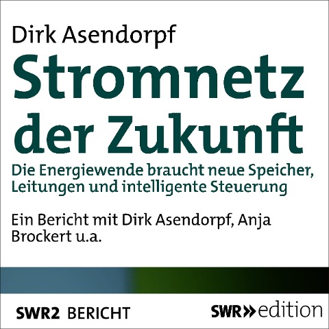 Stromnetz der Zukunft - Dirk Asendorpf