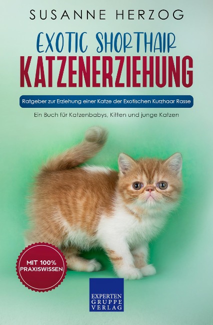 Exotic Shorthair Katzenerziehung - Ratgeber zur Erziehung einer Katze der Exotischen Kurzhaar Rasse - Susanne Herzog