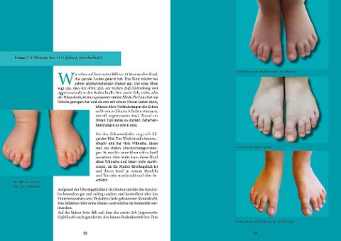 InsideView 6