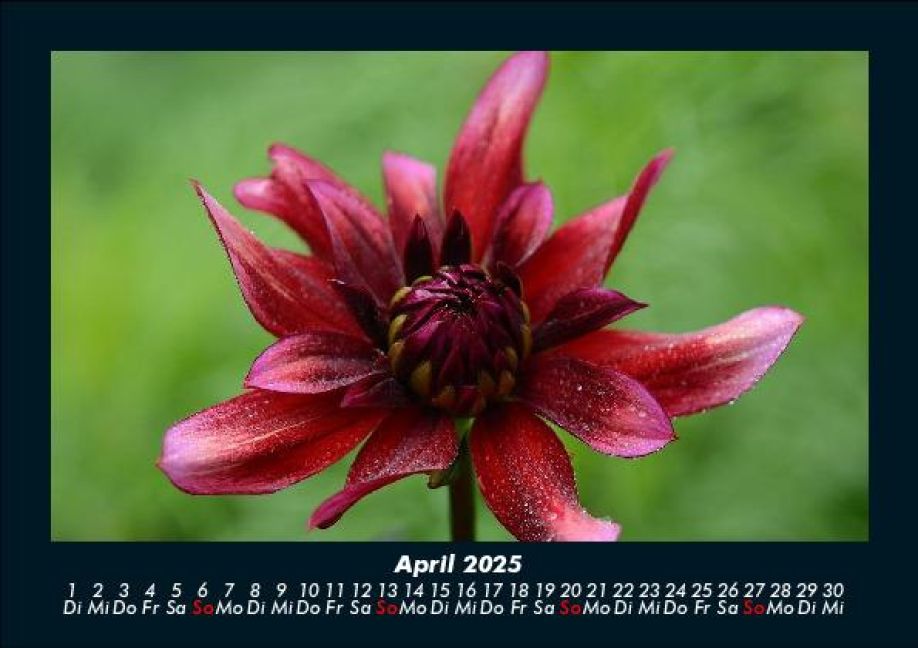 InsideView 8