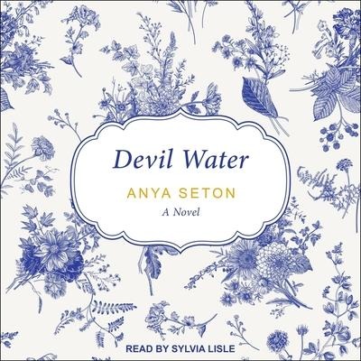 Devil Water - Anya Seton