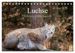 Luchse - Europas größte Katzen (Tischkalender 2026 DIN A5 quer), CALVENDO Monatskalender - Cloudtail Cloudtail
