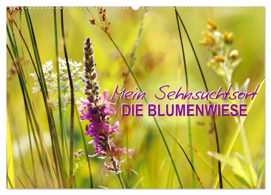 Mein Sehnsuchtsort, die Blumenwiese (Wandkalender 2026 DIN A2 quer), CALVENDO Monatskalender - Sabine Löwer