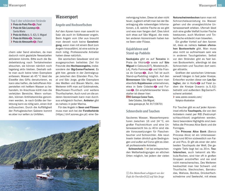 InsideView 6
