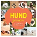 Hund gesucht! - 