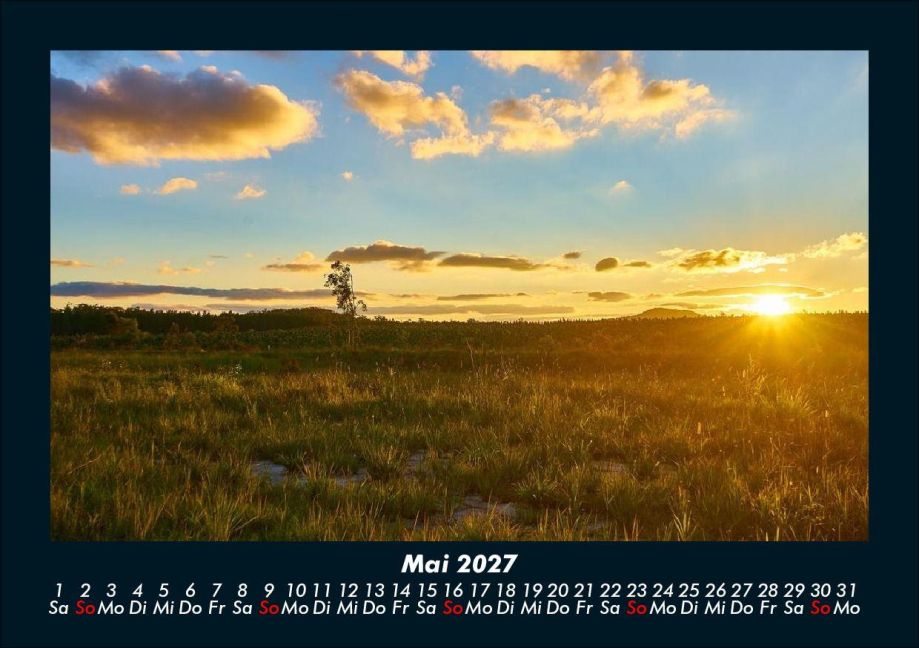 InsideView 9