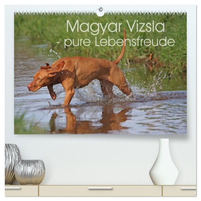 Magyar Vizsla - pure Lebensfreude (hochwertiger Premium Wandkalender 2026 DIN A2 quer), Kunstdruck in Hochglanz - Barbara Mielewczyk