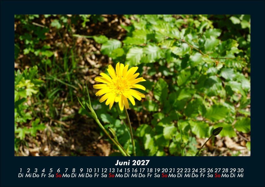 InsideView 10