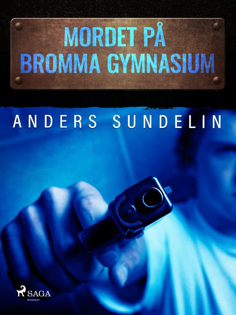 Mordet på Bromma gymnasium - Anders Sundelin