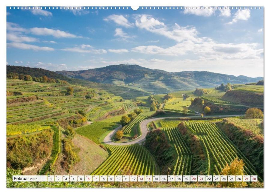 InsideView 7