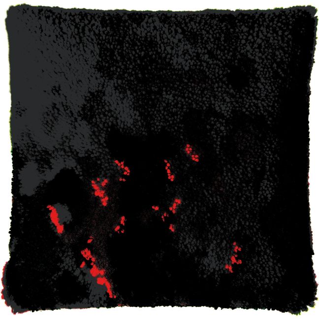 InsideView 5