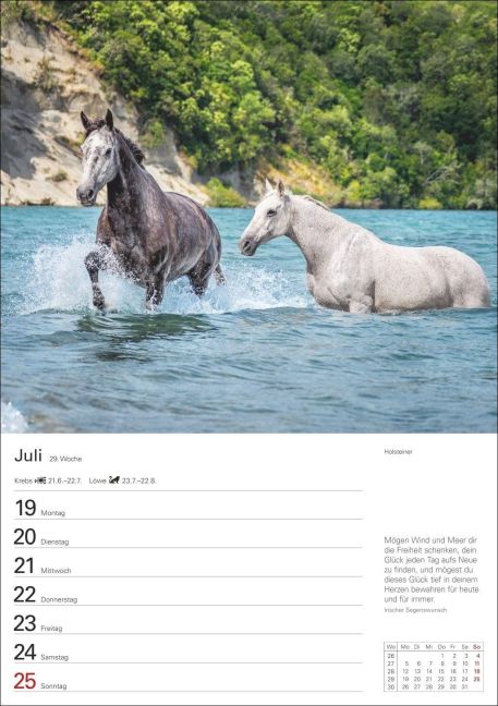 InsideView 10