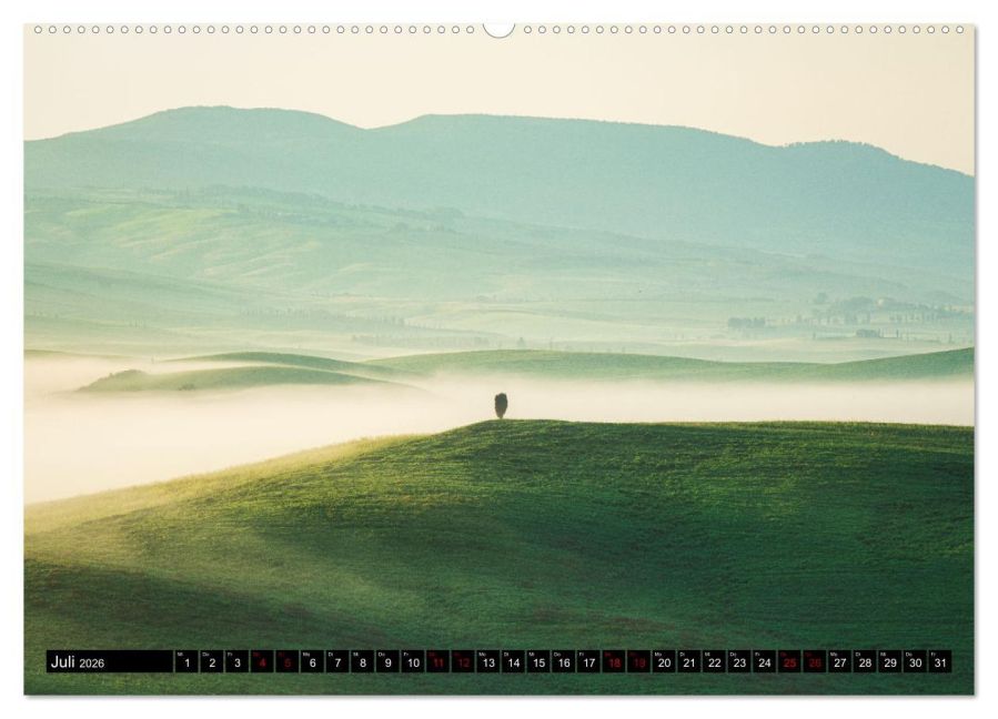 InsideView 11