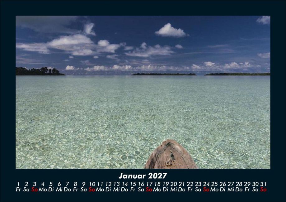 InsideView 5
