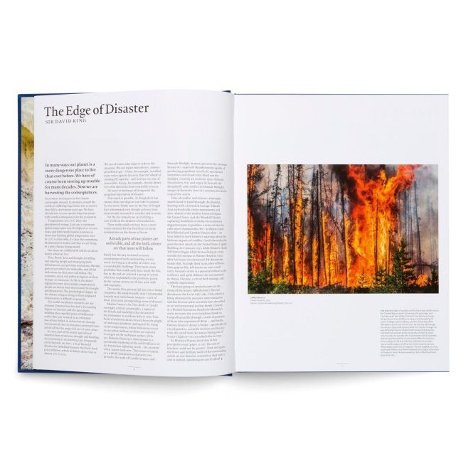InsideView 19