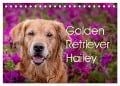 Golden Retriever Hailey Fotokalender (Tischkalender 2024 DIN A5 quer), CALVENDO Monatskalender - Daniela Hofmeister