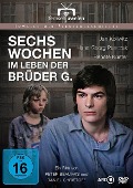 Cover-Bild zum Titel 'Sechs Wochen im Leben der Brüder G.' von 'Daniel Christoff'