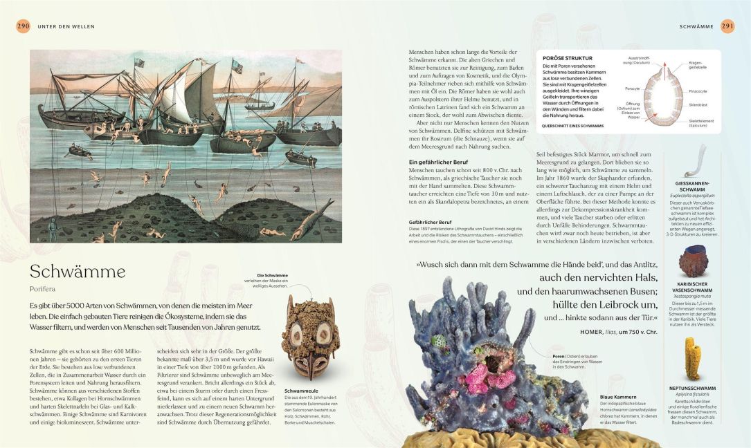 InsideView 8