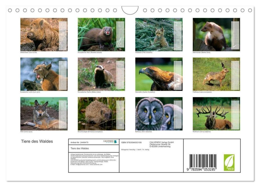 InsideView 5