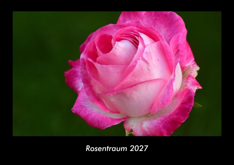 Rosentraum 2027 Fotokalender DIN A3 - Tobias Becker
