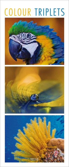 Colour Triplets 2027 - 