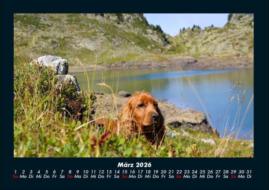 InsideView 7