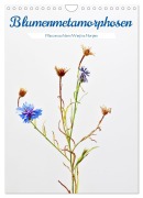 Cover-Bild zum Titel 'Blumenmetamorphosen (Wandkalender 2026 DIN A4 hoch), CALVENDO Monatskalender' von 'Clemens Stenner'
