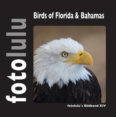 Birds of Florida & Bahamas - Fotolulu